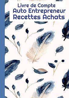 Livre de compte -Auto Entrepreneur-Recettes Achats: Registre de comptabilité-cahier de compte-journal recettes achats auto-entrepreneur-bilan comptable du … libérales-associations- Grand Format