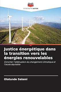 Justice énergétique dans la transition vers les énergies renouvelables: Concilier l