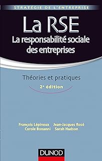 La RSE - La responsabilité sociale des entreprises - 2e éd. - Théories et pratiques: Théories et pratiques