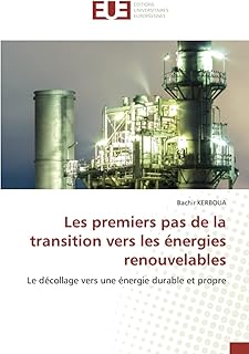 Les premiers pas de la transition vers les énergies renouvelables: Le décollage vers une énergie durable et propre