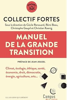 Manuel de la Grande Transition: Climat, écologie, éthique, santé, économie, droit, démocratie, énergie, agriculture, arts...