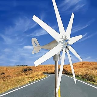 Kit générateur éolien 3000W/5000W/8000W, 8 pales avec contrôleur MPPT, éolienne à sustentation magnétique, pour l