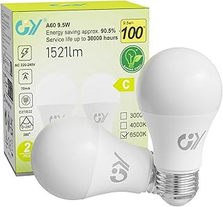 GY Ampoule LED E27 9.5W (équivalent 100W), 6500K Blanc Froid 1521 lumens, A60 Ampoules E27 LED Efficacité Energétique, Dépolie, Non-Dimmable, 2 Unité (Lot de 1)
