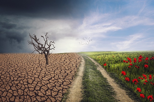 Changements climatiques : l’impact sur la santé publique en 2024