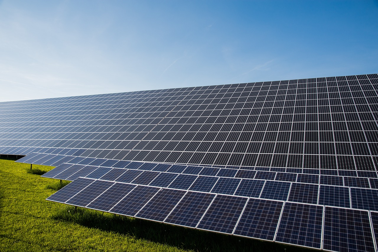 Transition écologique : 5 initiatives locales qui inspirent et mobilisent !