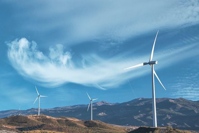 Énergies renouvelables : bonnes pratiques pour un avenir durable