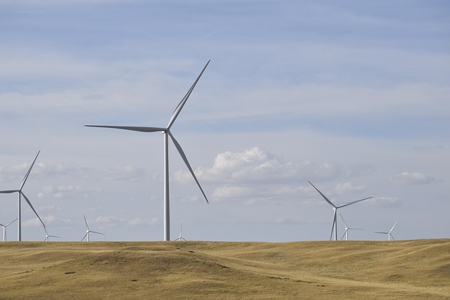 Énergies renouvelables : comment les intégrer dans votre quotidien facilement ?