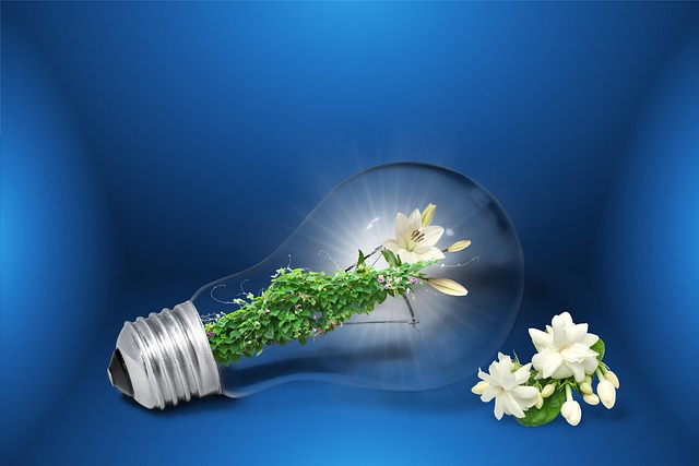 Énergies renouvelables : investir dans l’avenir pour un monde durable