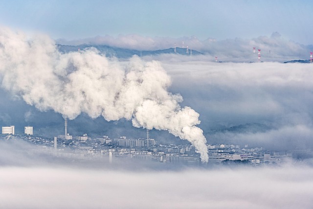 Changements climatiques et biodiversité : un lien à ne pas négliger